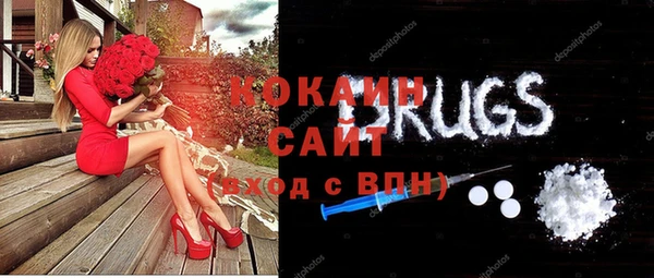 Альфа ПВП Инсар