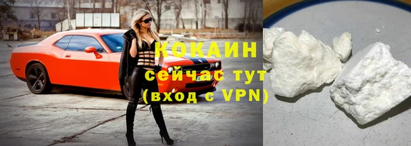Альфа ПВП Инсар
