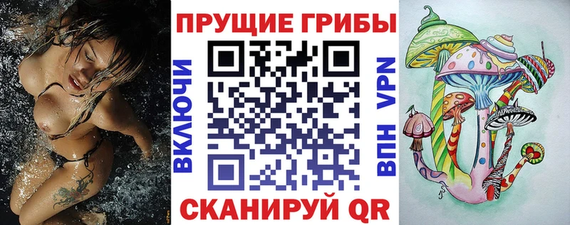 kraken онион Лянтор Галлюциногенные грибы ЛСД