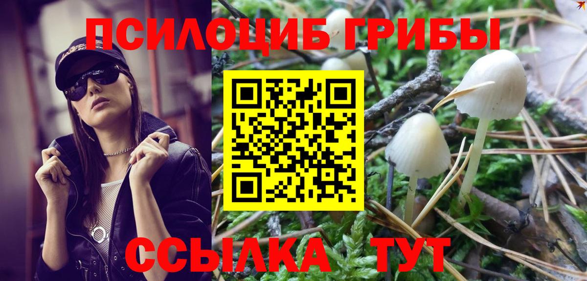 Галлюциногенные грибы мицелий Лянтор